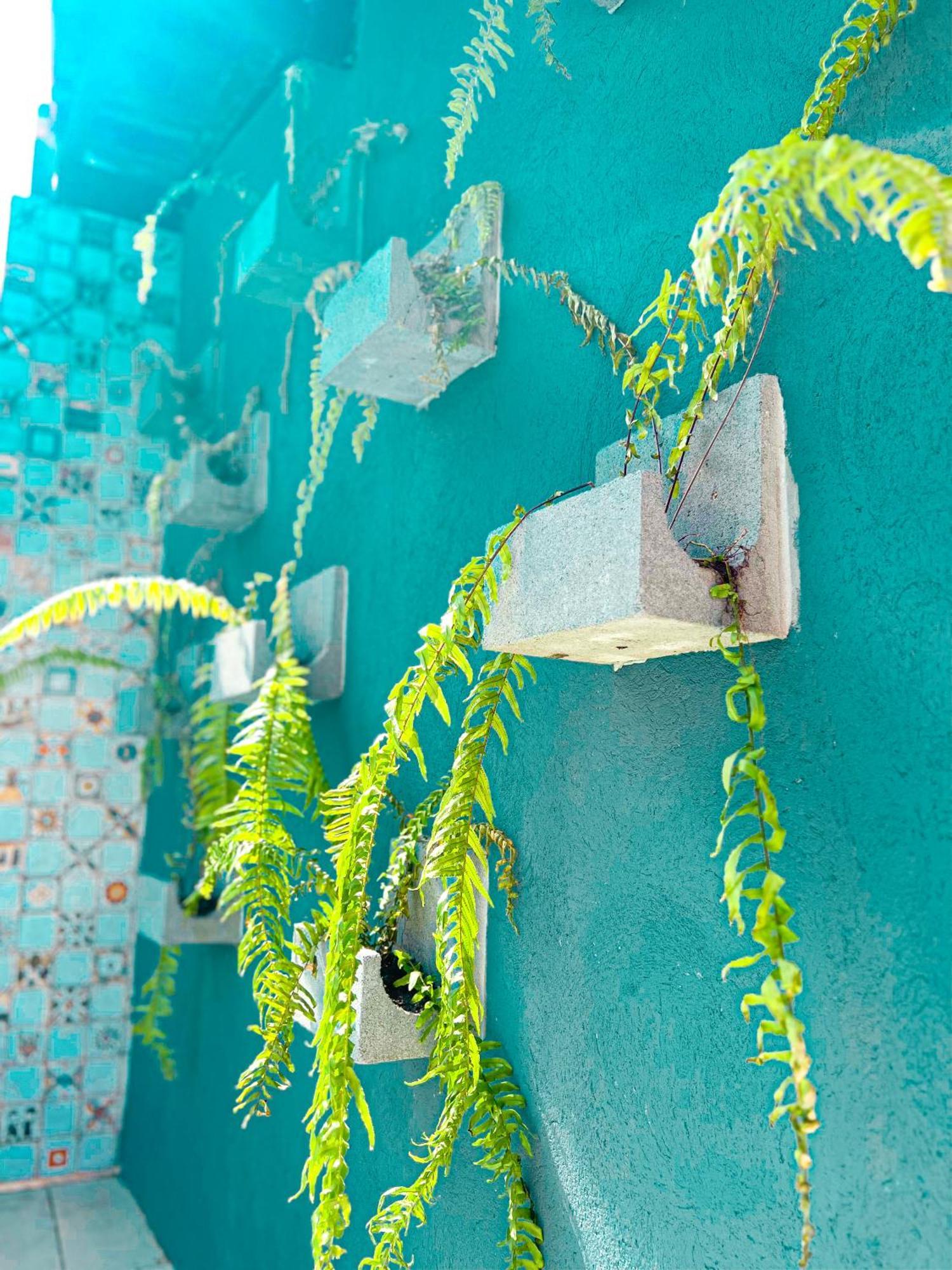 Villa Chale Aconchego Dos Milagres São Miguel dos Milagres Exterior foto